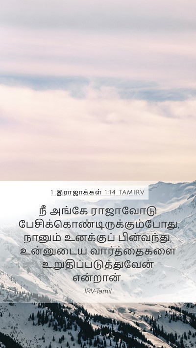 1 இராஜாக்கள் 1:14 TAMIRV Mobile Phone Wallpaper - நீ அங்கே ராஜாவோடு - Mobile Bible Verse Wallpaper