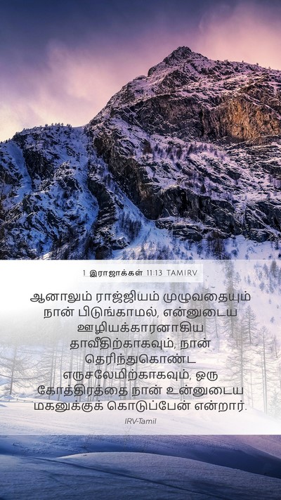 1 இராஜாக்கள் 11:13 TAMIRV Bible Verse Image