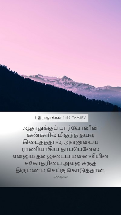 1 இராஜாக்கள் 11:19 TAMIRV Mobile Phone Wallpaper - ஆதாதுக்குப் - Mobile Bible Verse Wallpaper