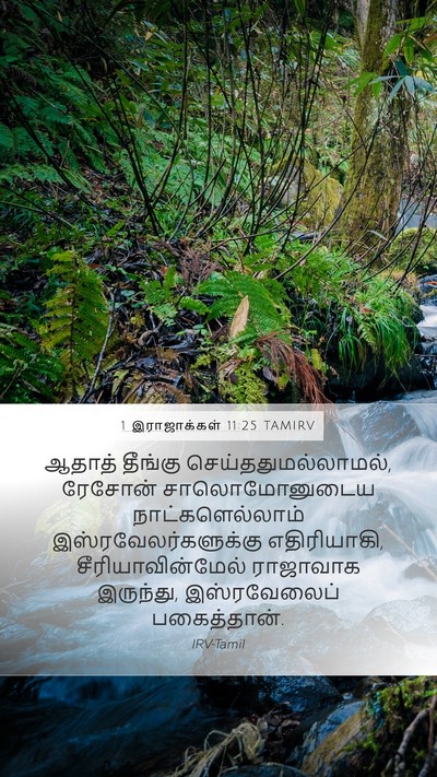1 இராஜாக்கள் 11:25 TAMIRV Mobile Phone Wallpaper - ஆதாத் தீங்கு - Mobile Bible Verse Wallpaper