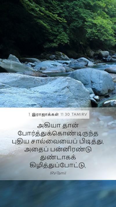 1 இராஜாக்கள் 11:30 TAMIRV Bible Verse Image