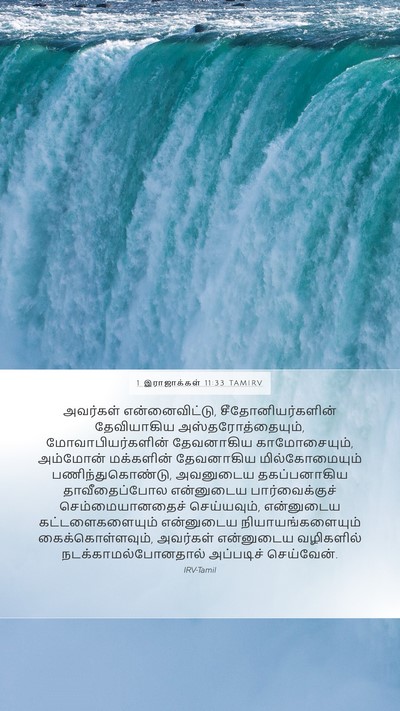1 இராஜாக்கள் 11:33 TAMIRV Bible Verse Image