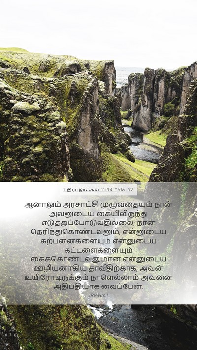 1 இராஜாக்கள் 11:34 TAMIRV Bible Verse Image
