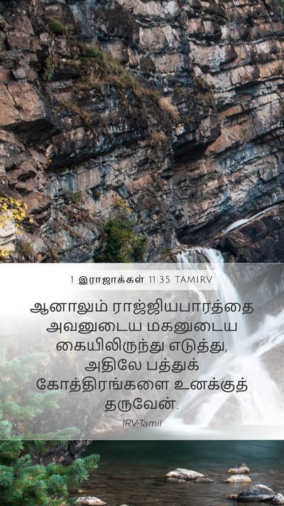 1 இராஜாக்கள் 11:35 TAMIRV Bible Verse Image