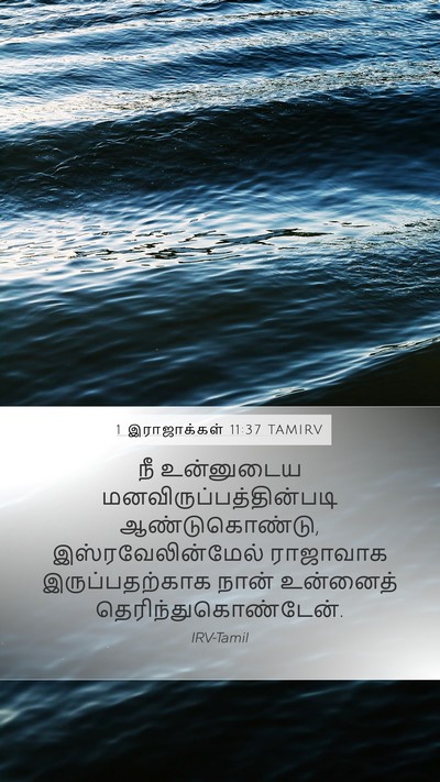 1 இராஜாக்கள் 11:37 TAMIRV Bible Verse Image