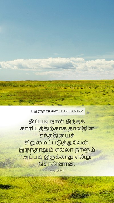 1 இராஜாக்கள் 11:39 TAMIRV Bible Verse Image