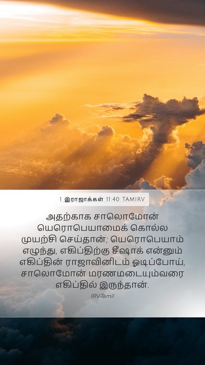1 இராஜாக்கள் 11:40 TAMIRV Bible Verse Image
