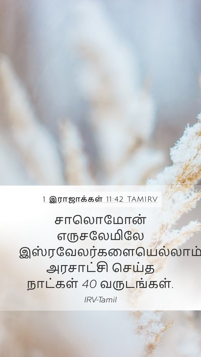 1 இராஜாக்கள் 11:42 TAMIRV Bible Verse Image