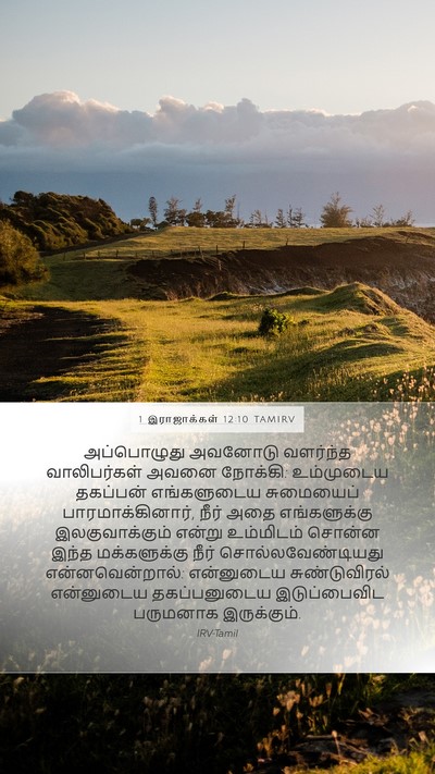 1 இராஜாக்கள் 12:10 TAMIRV Bible Verse Image