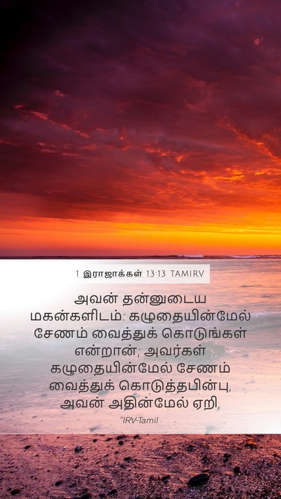 1 இராஜாக்கள் 13:13 TAMIRV Bible Verse Image