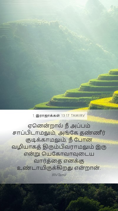 1 இராஜாக்கள் 13:17 TAMIRV Bible Verse Image