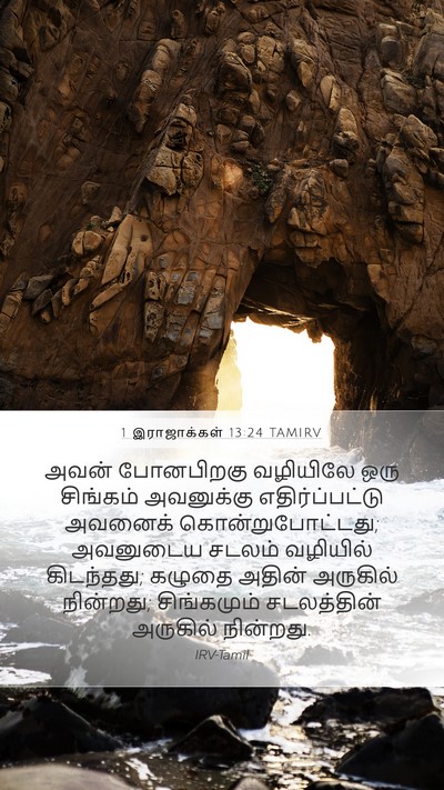 1 இராஜாக்கள் 13:24 TAMIRV Bible Verse Image