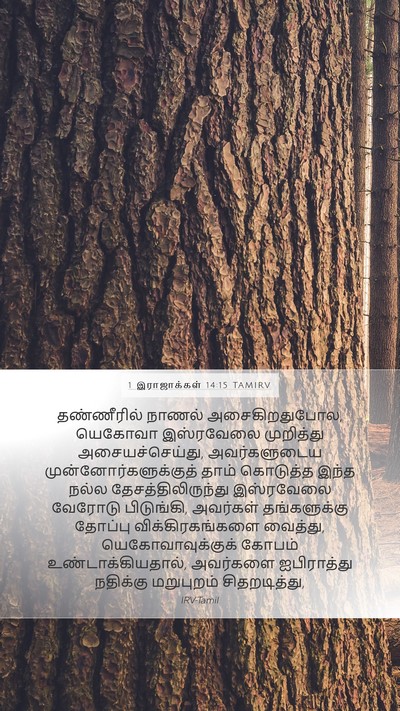 1 இராஜாக்கள் 14:15 TAMIRV Bible Verse Image