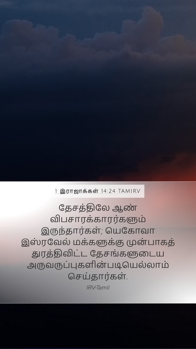 1 இராஜாக்கள் 14:24 TAMIRV Bible Verse Image