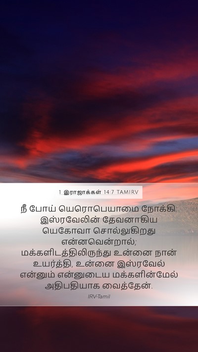 1 இராஜாக்கள் 14:7 TAMIRV Bible Verse Image