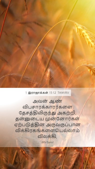 1 இராஜாக்கள் 15:12 TAMIRV Bible Verse Image