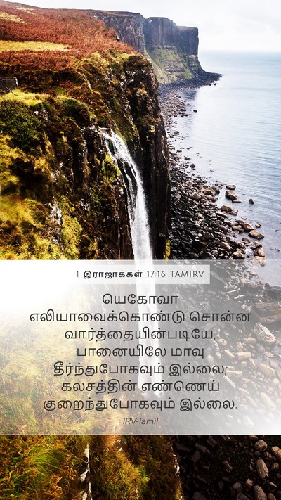1 இராஜாக்கள் 17:16 TAMIRV Mobile Phone Wallpaper - யெகோவா - Mobile Bible Verse Wallpaper