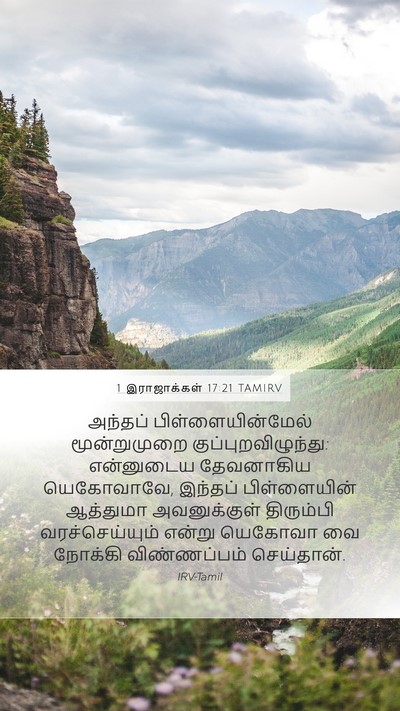 1 இராஜாக்கள் 17:21 TAMIRV Bible Verse Image
