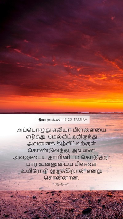 1 இராஜாக்கள் 17:23 TAMIRV Bible Verse Image