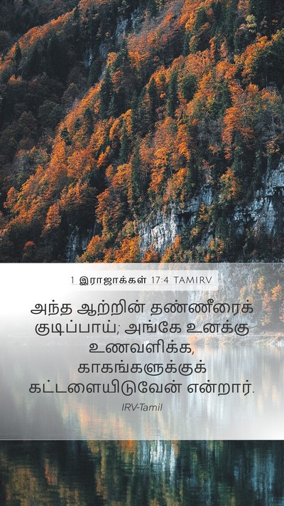 1 இராஜாக்கள் 17:4 TAMIRV Bible Verse Image