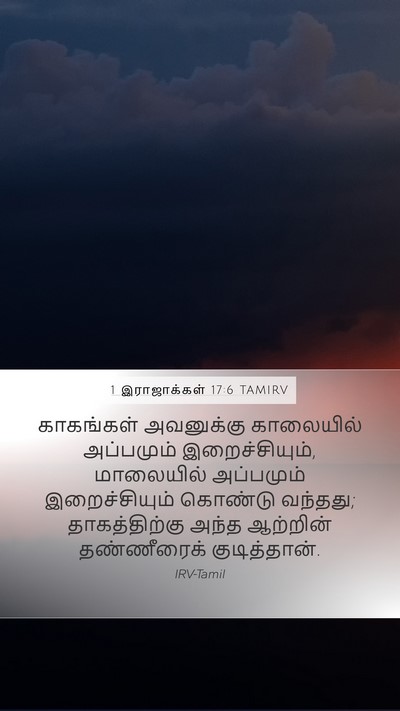 1 இராஜாக்கள் 17:6 TAMIRV Bible Verse Image
