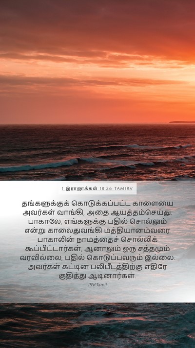 1 இராஜாக்கள் 18:26 TAMIRV Mobile Phone Wallpaper - தங்களுக்குக் - Mobile Bible Verse Wallpaper
