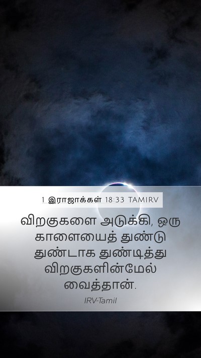 1 இராஜாக்கள் 18:33 TAMIRV Bible Verse Image