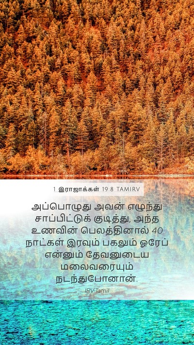 1 இராஜாக்கள் 19:8 TAMIRV Bible Verse Image