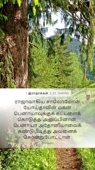 1 இராஜாக்கள் 2:25 TAMIRV Bible Verse Image