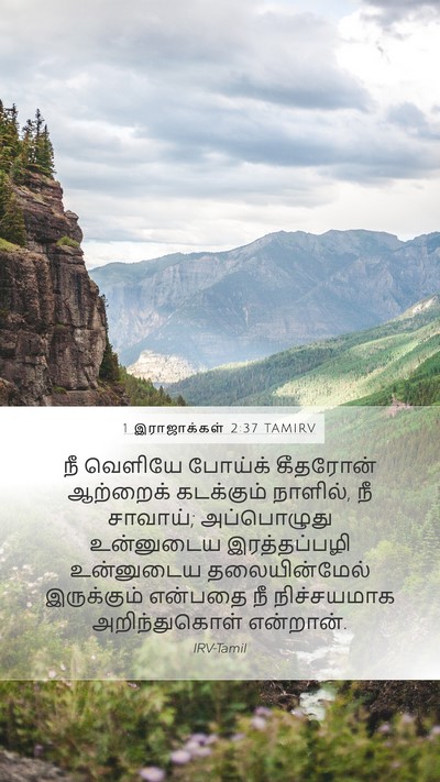 1 இராஜாக்கள் 2:37 TAMIRV Bible Verse Image