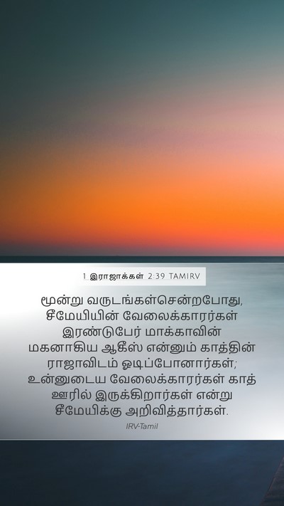 1 இராஜாக்கள் 2:39 TAMIRV Mobile Phone Wallpaper - மூன்று - Mobile Bible Verse Wallpaper
