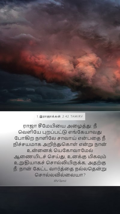 1 இராஜாக்கள் 2:42 TAMIRV Mobile Phone Wallpaper - ராஜா சீமேயியை - Mobile Bible Verse Wallpaper