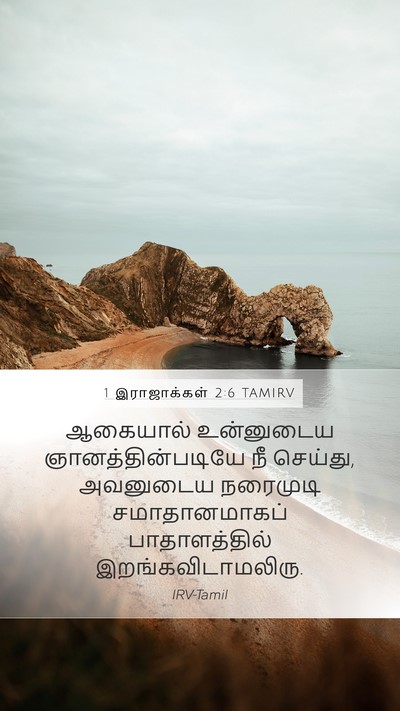 1 இராஜாக்கள் 2:6 TAMIRV Bible Verse Image