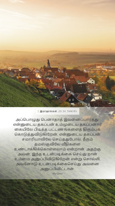 1 இராஜாக்கள் 20:34 TAMIRV Bible Verse Image