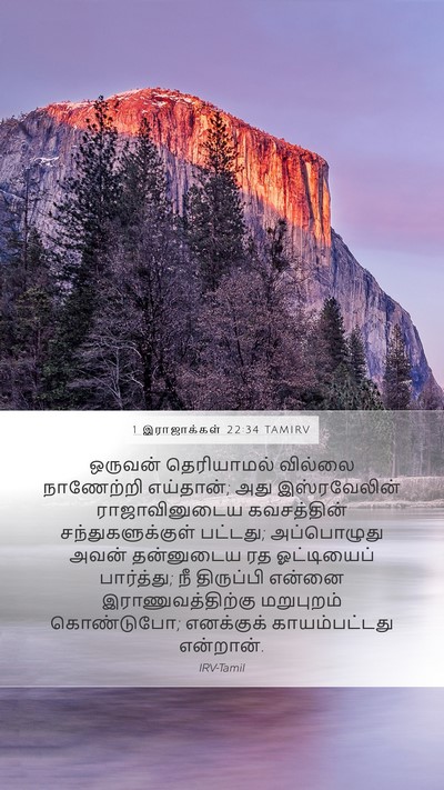 1 இராஜாக்கள் 22:34 TAMIRV Bible Verse Image