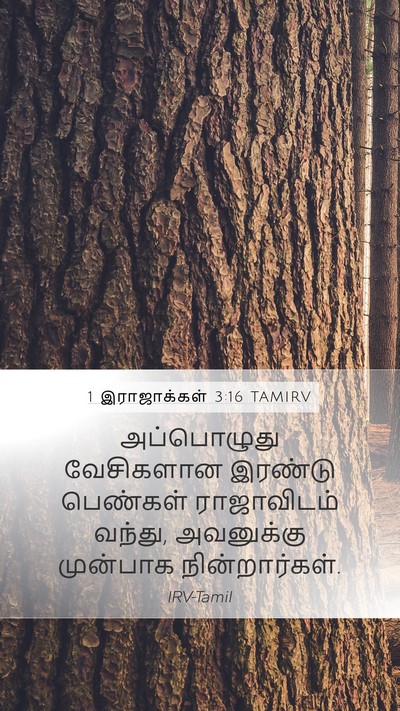 1 இராஜாக்கள் 3:16 TAMIRV Bible Verse Image