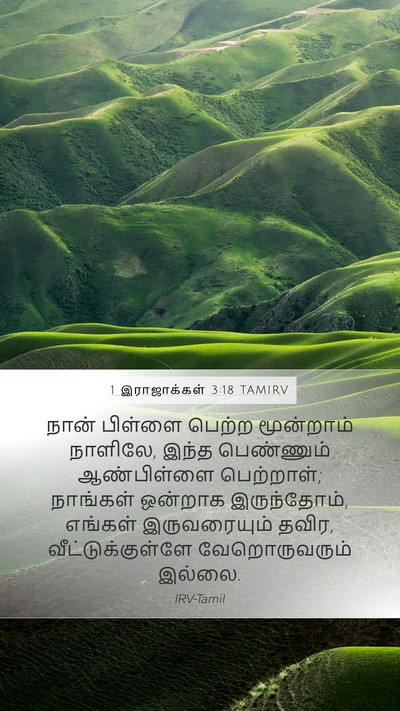 1 இராஜாக்கள் 3:18 TAMIRV Mobile Phone Wallpaper - நான் பிள்ளை பெற்ற - Mobile Bible Verse Wallpaper