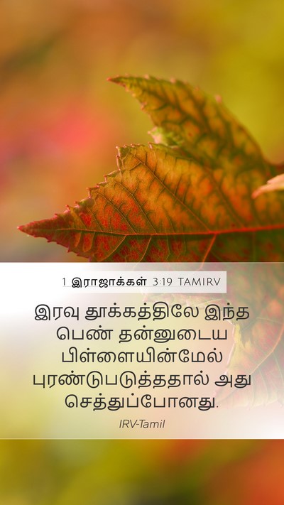 1 இராஜாக்கள் 3:19 TAMIRV Mobile Phone Wallpaper - இரவு தூக்கத்திலே - Mobile Bible Verse Wallpaper