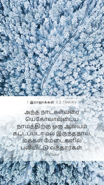 1 இராஜாக்கள் 3:2 TAMIRV Mobile Phone Wallpaper - அந்த நாட்கள்வரை - Mobile Bible Verse Wallpaper