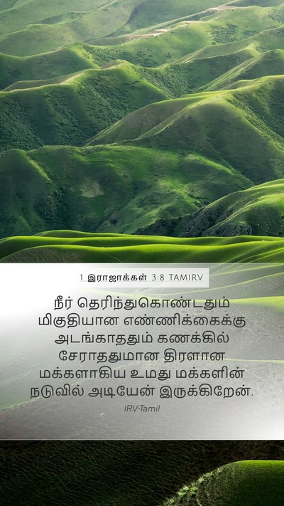 1 இராஜாக்கள் 3:8 TAMIRV Bible Verse Image