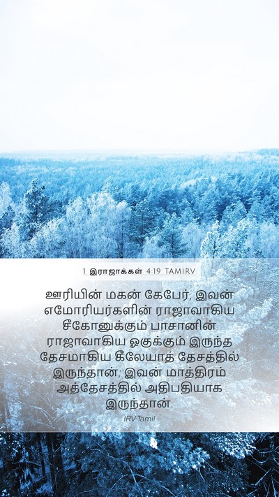 1 இராஜாக்கள் 4:19 TAMIRV Bible Verse Image
