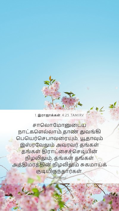 1 இராஜாக்கள் 4:25 TAMIRV Bible Verse Image