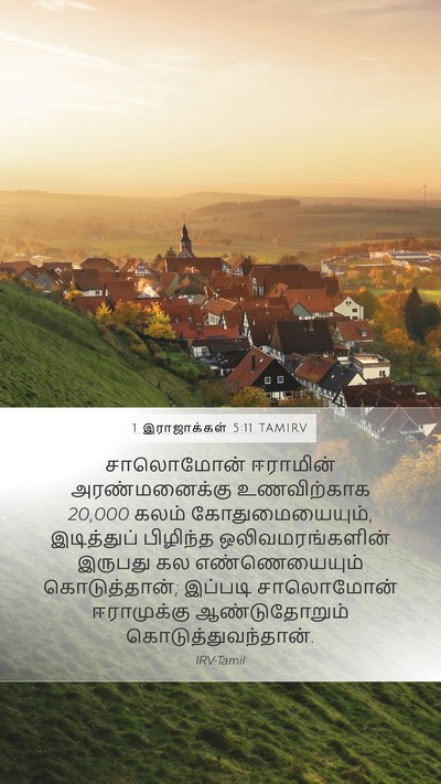 1 இராஜாக்கள் 5:11 TAMIRV Bible Verse Image