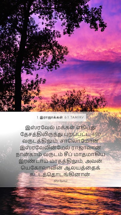 1 இராஜாக்கள் 6:1 TAMIRV Bible Verse Image