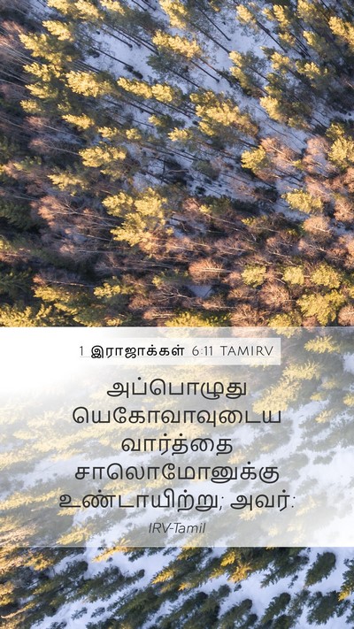 1 இராஜாக்கள் 6:11 TAMIRV Mobile Phone Wallpaper - அப்பொழுது - Mobile Bible Verse Wallpaper
