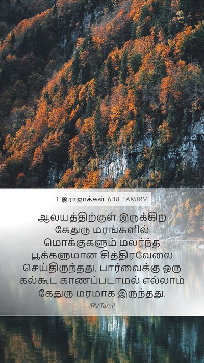 1 இராஜாக்கள் 6:18 TAMIRV Bible Verse Image