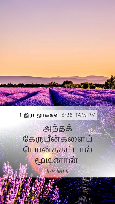 1 இராஜாக்கள் 6:28 TAMIRV Mobile Phone Wallpaper - அந்தக் - Mobile Bible Verse Wallpaper