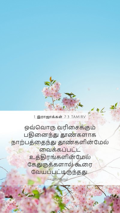 1 இராஜாக்கள் 7:3 TAMIRV Mobile Phone Wallpaper - ஒவ்வொரு - Mobile Bible Verse Wallpaper