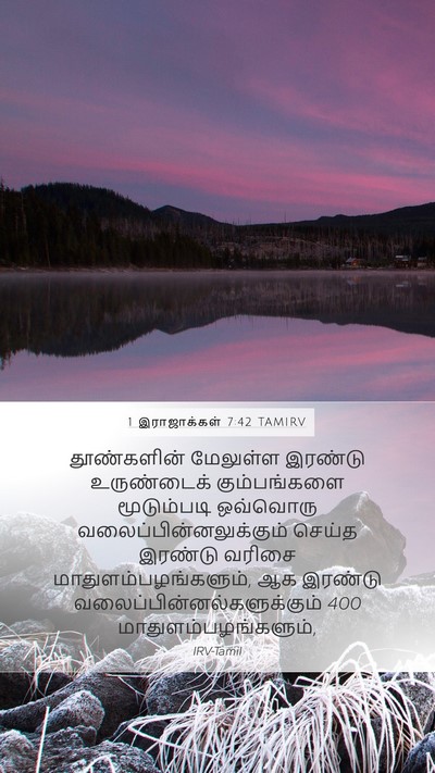 1 இராஜாக்கள் 7:42 TAMIRV Bible Verse Image