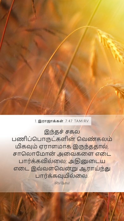 1 இராஜாக்கள் 7:47 TAMIRV Mobile Phone Wallpaper - இந்தச் சகல - Mobile Bible Verse Wallpaper